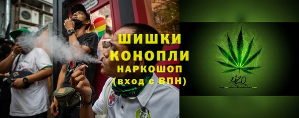 ПСИЛОЦИБИНОВЫЕ ГРИБЫ Заводоуковск