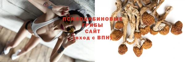 ПСИЛОЦИБИНОВЫЕ ГРИБЫ Заводоуковск