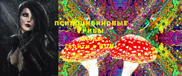 ПСИЛОЦИБИНОВЫЕ ГРИБЫ Заводоуковск