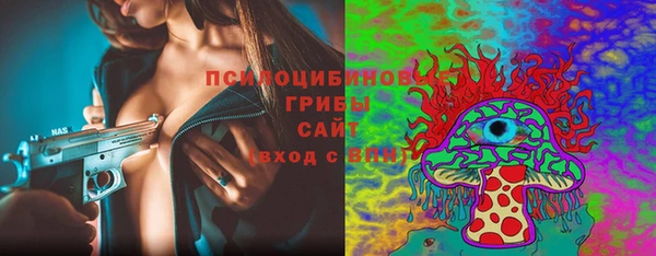 ешки Зеленодольск