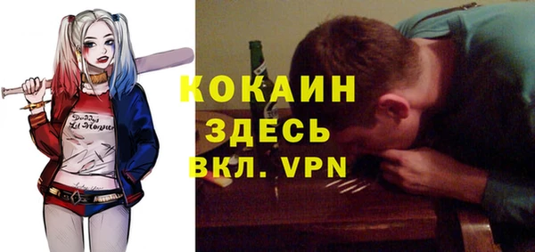 ПСИЛОЦИБИНОВЫЕ ГРИБЫ Заводоуковск